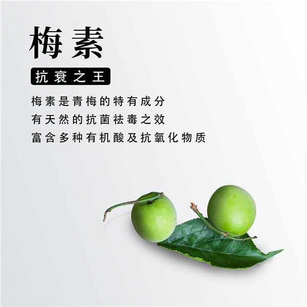 梅素——水感肌消水饮 梅素——水感肌消水饮