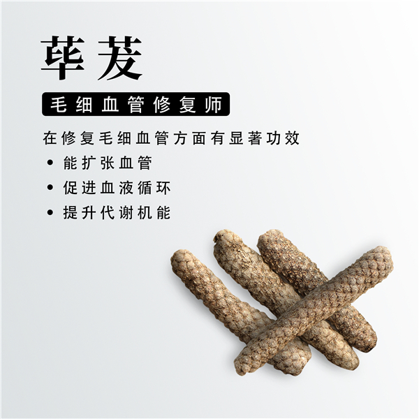 荜茇——水感肌消水饮 荜茇——水感肌消水饮