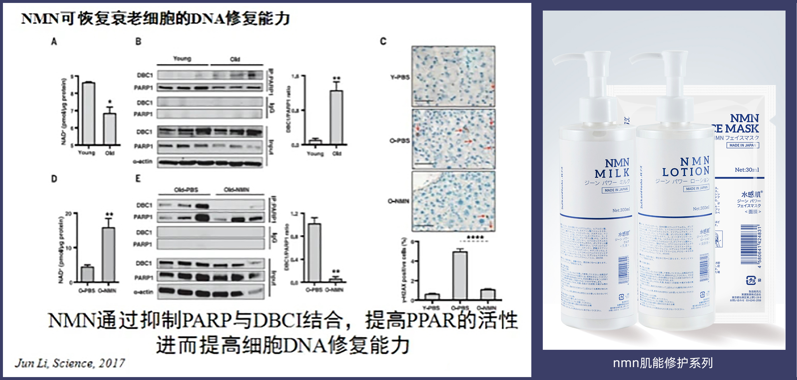 SUIKANHADA全新肌能系列限量上市,点亮基因护肤新理念 SUIKANHADA全新肌能系列限量上市,点亮基因护肤新理念