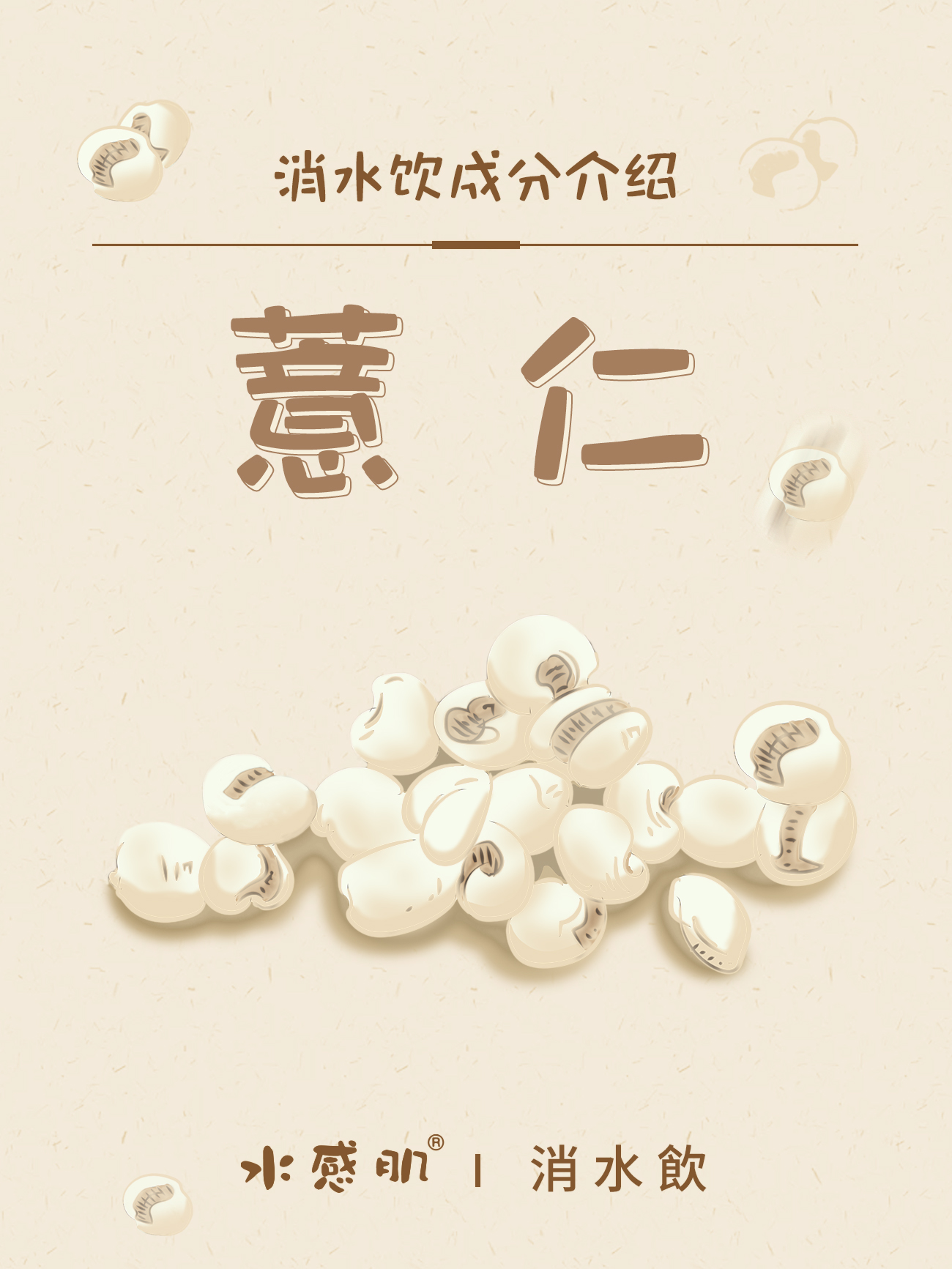 消水饮中的玉米须及薏苡仁都是利尿消水的佳品