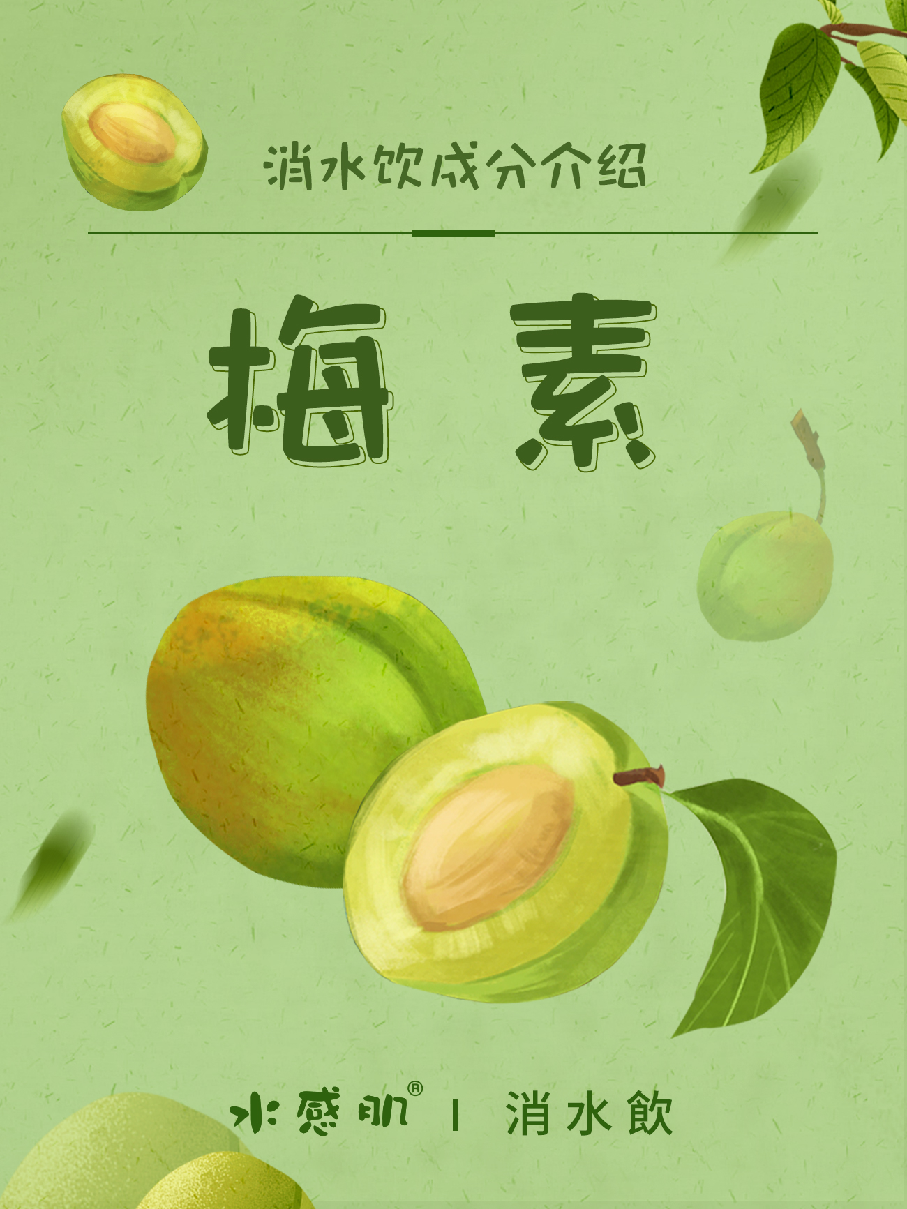 水感肌消水饮独特的梅素成分