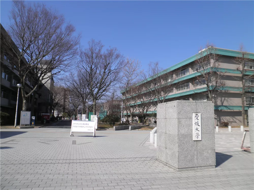 爱媛大学